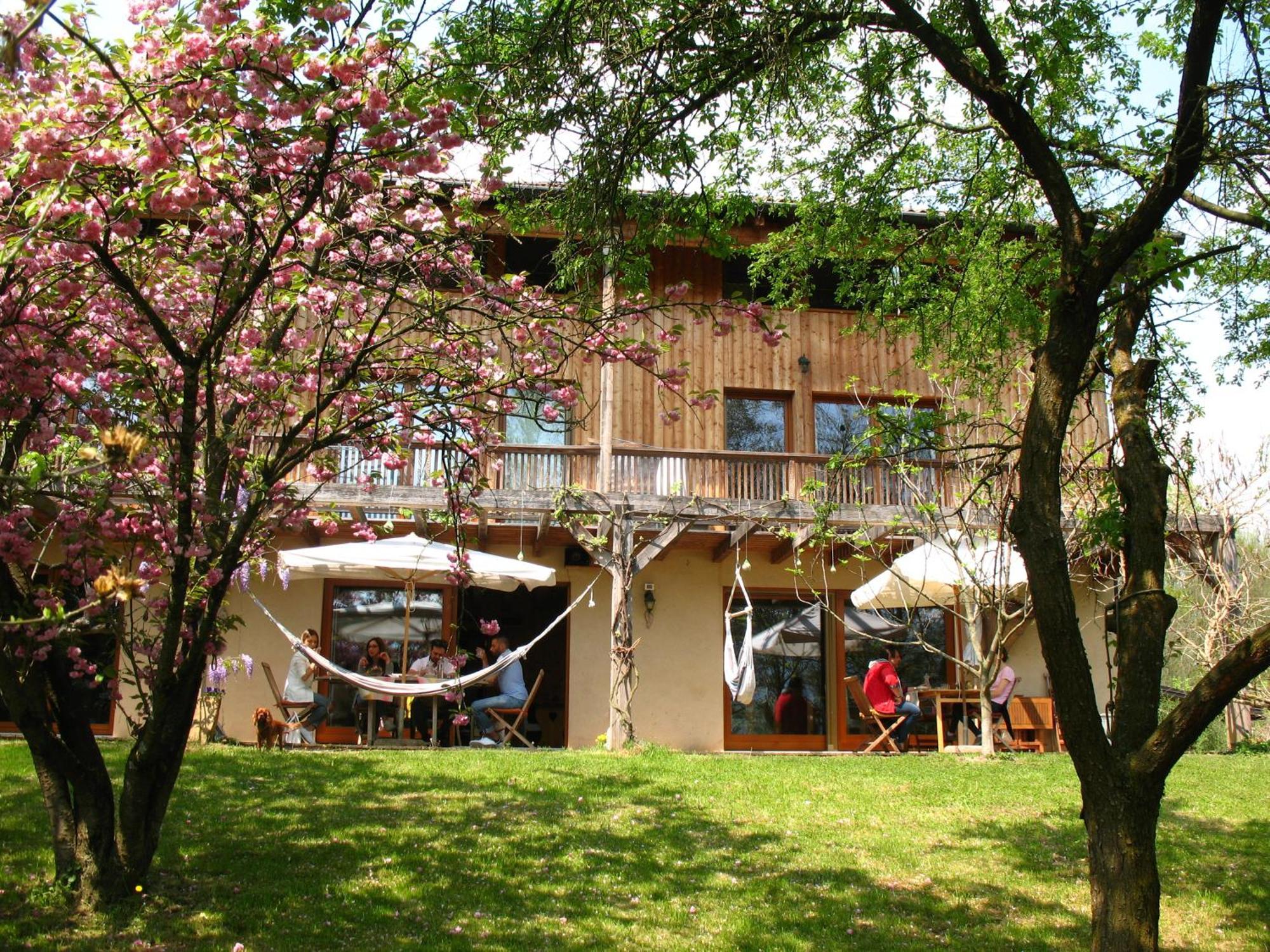 Bioagriturismo Vegan Campo Di Cielo Cesiomaggiore 外观 照片