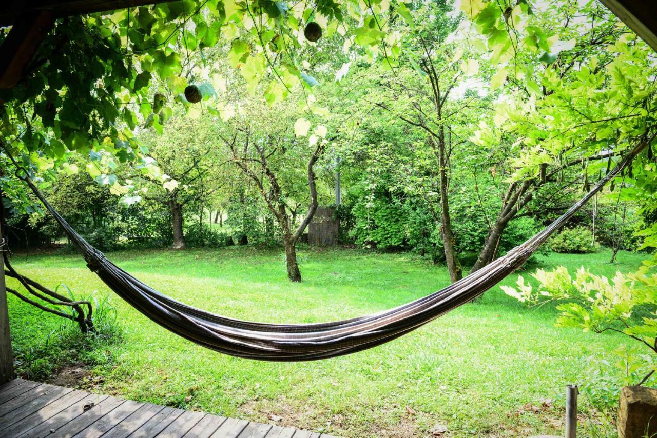Bioagriturismo Vegan Campo Di Cielo Cesiomaggiore 外观 照片