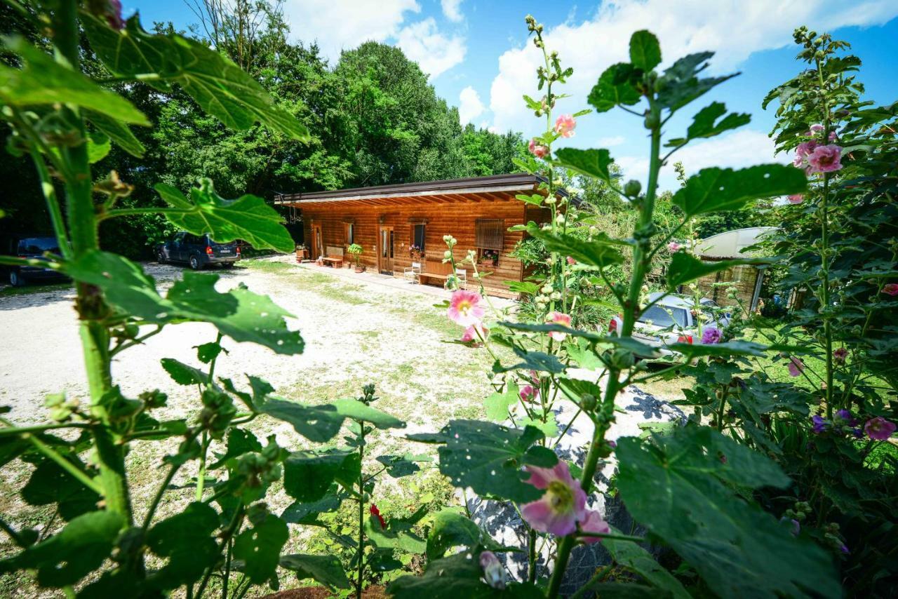 Bioagriturismo Vegan Campo Di Cielo Cesiomaggiore 外观 照片